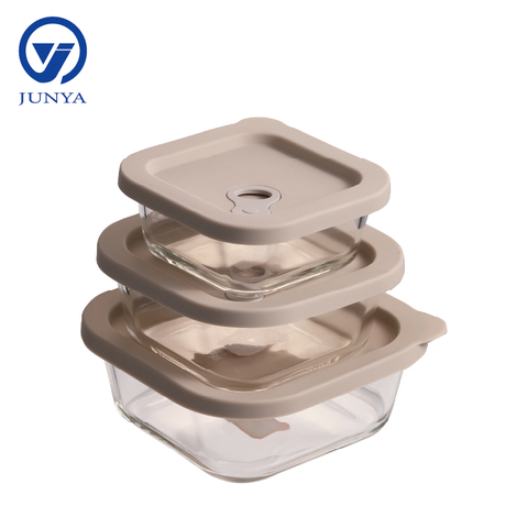 Square Glass Food Container with Silicon Lid