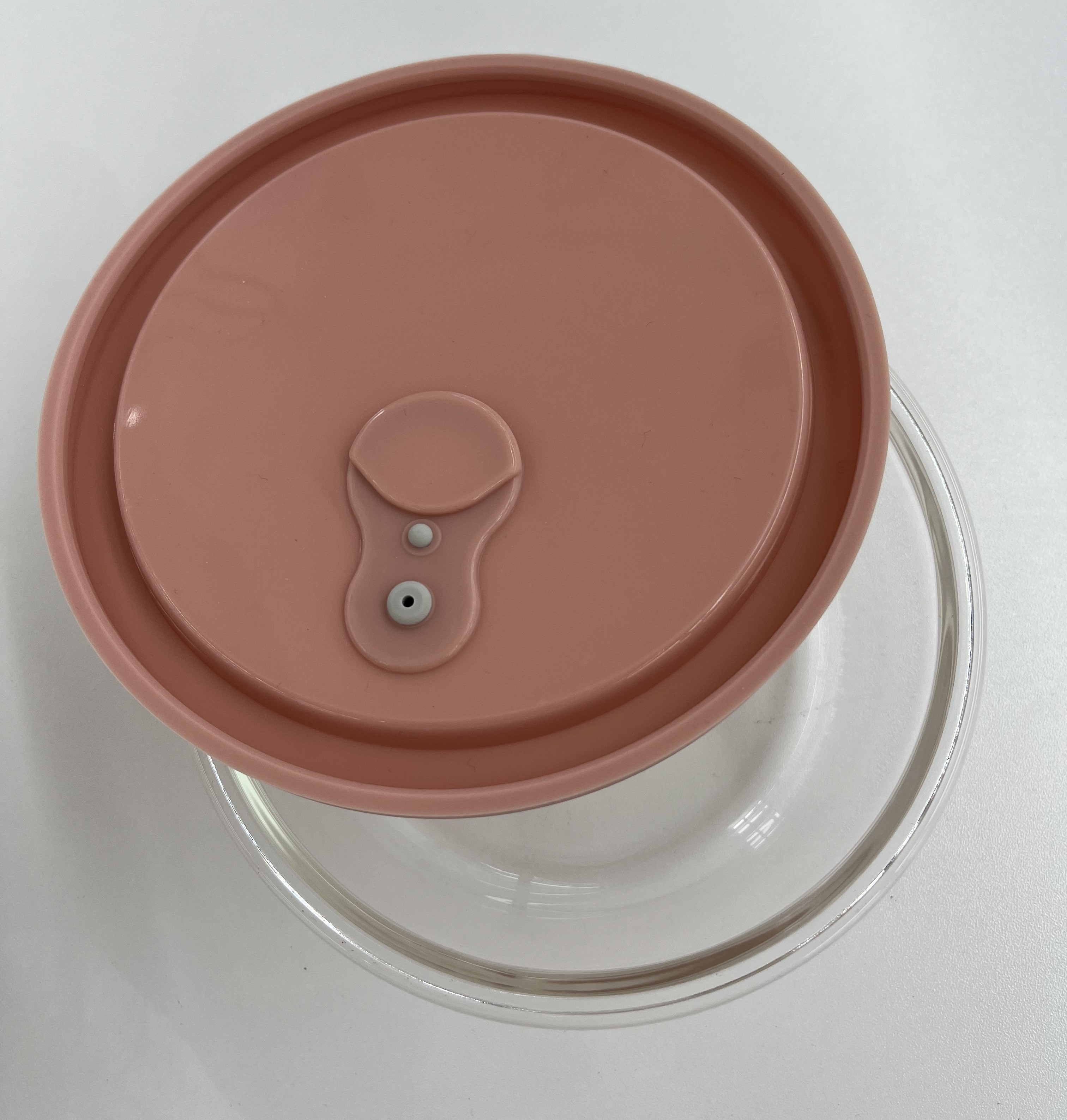 Round Glass Food Container with Silicon Lid