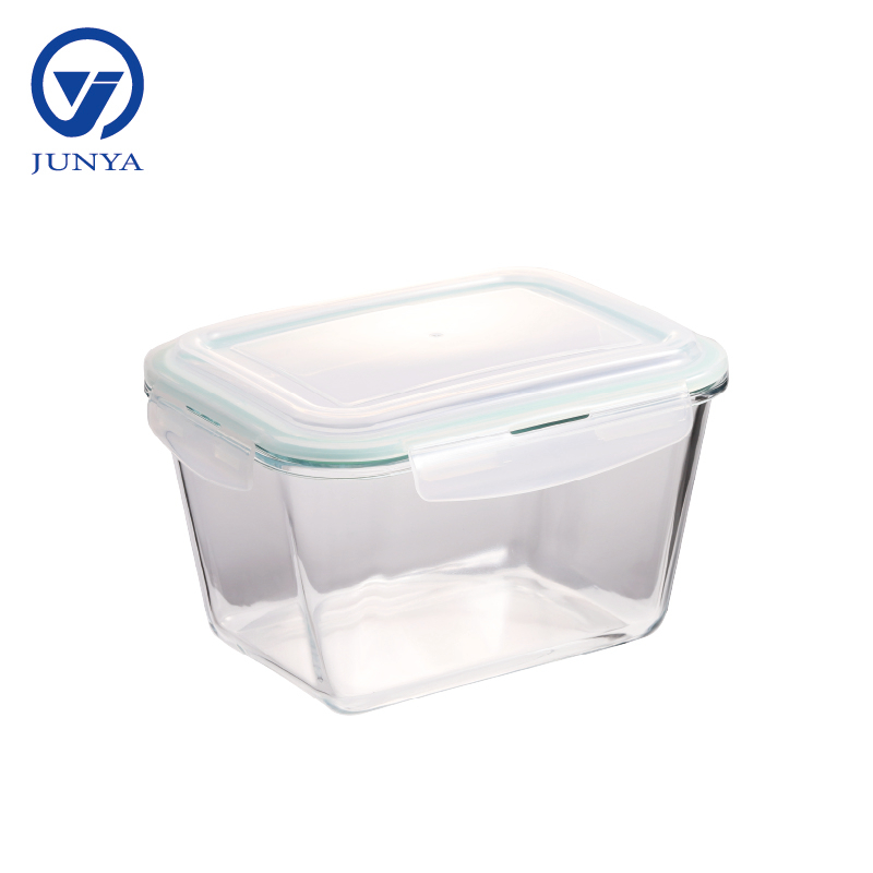 Large Size High-Borosilicate Glass Food Container D