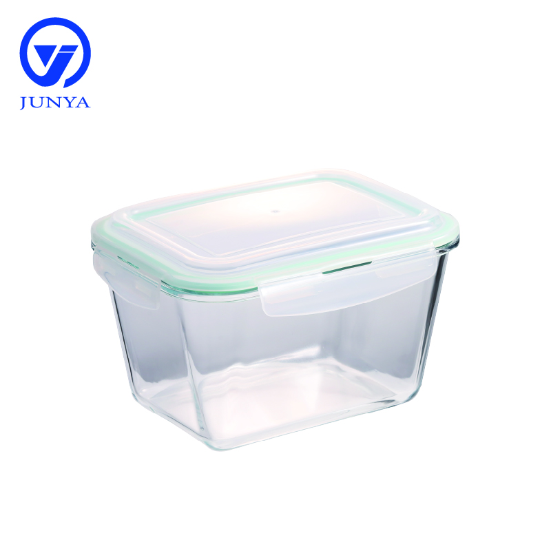Large Size High-Borosilicate Glass Food Container D